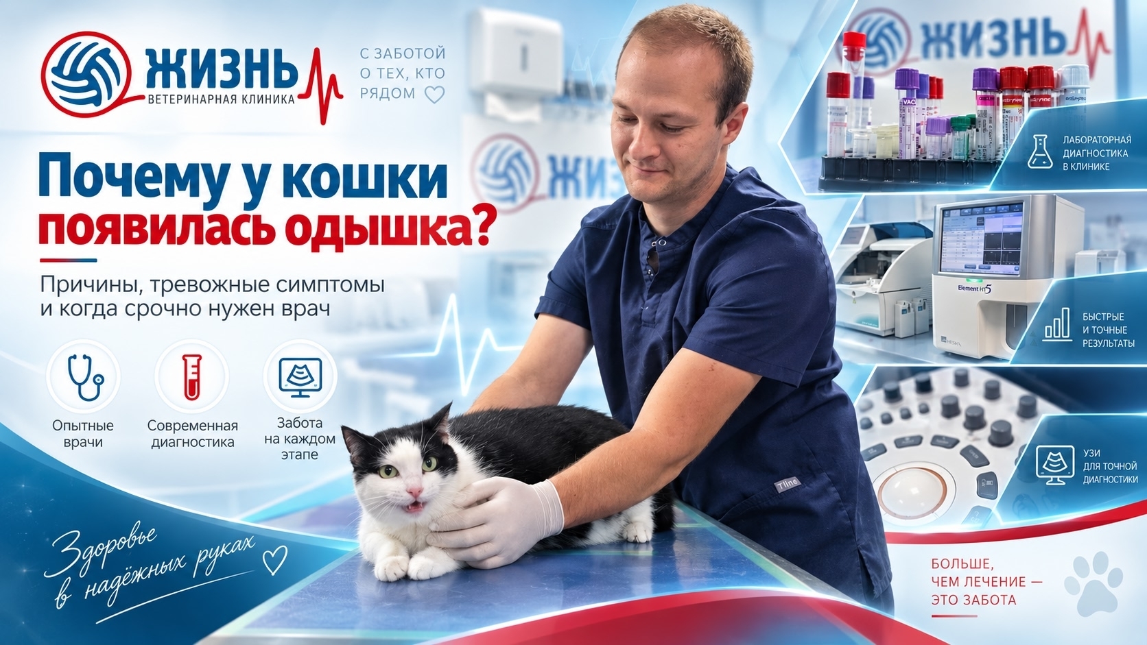 Кошка тяжело дышит