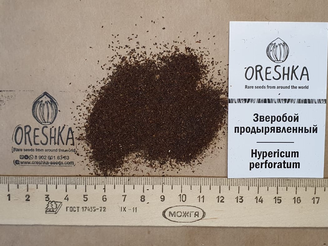 Oreshka Seeds Hypericum perforatum fresh seeds packet