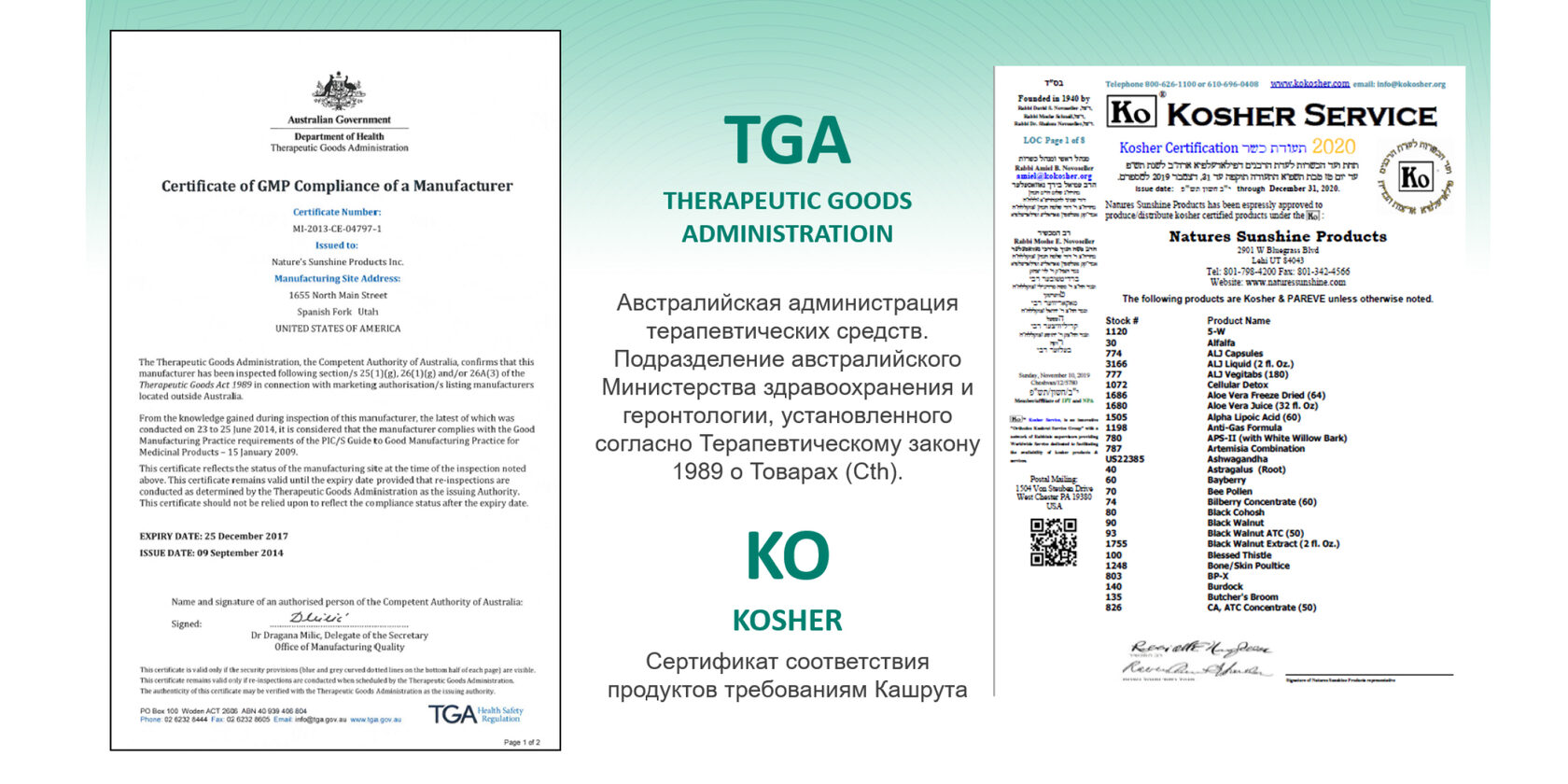 Презентация компании нсп