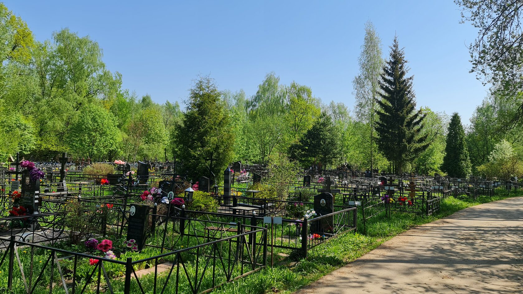 Ближайшее кладбище. Матвейковское кладбище Ступино. Кладбище Москвы и Московской области. Юрасовское кладбище Московская область. Кладбище обычное.