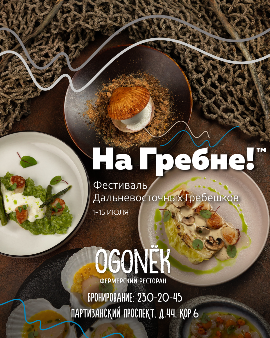 Фестиваль гребешка OGONЁK