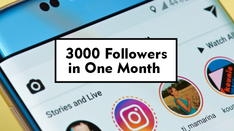 Customer History: How I Gained 3000 Followers in One Month - 750 x 420 jpeg 193kB