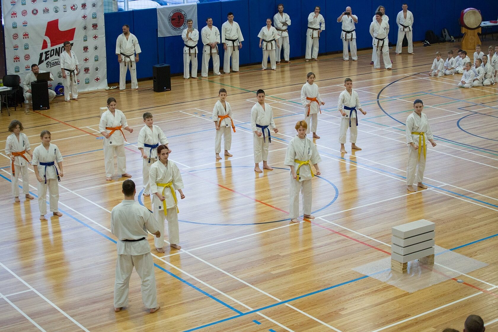 Абсолют спорт