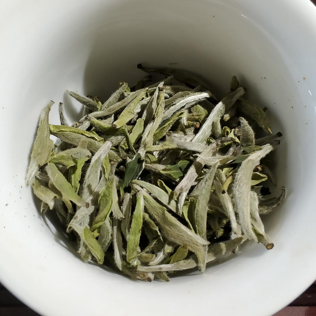 Pale Luminous Silver Needle Infusion