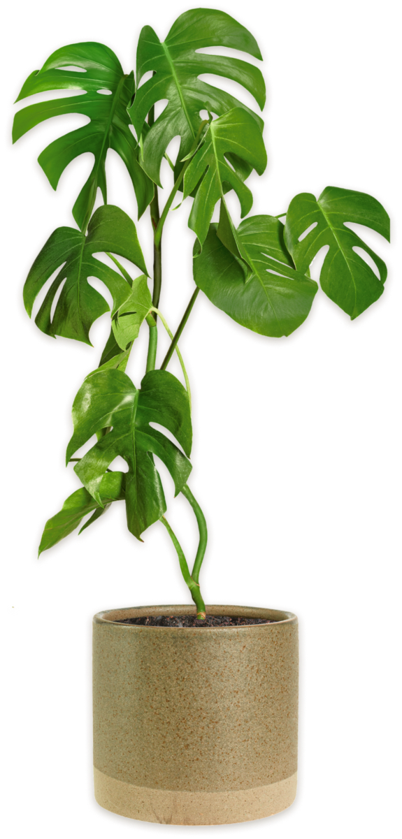 15 КУРСОВ ПОВЫШЕНИЯ КВАЛИФИКАЦИИ ДЛЯ ПСИХОЛОГОВ ТРОП 15