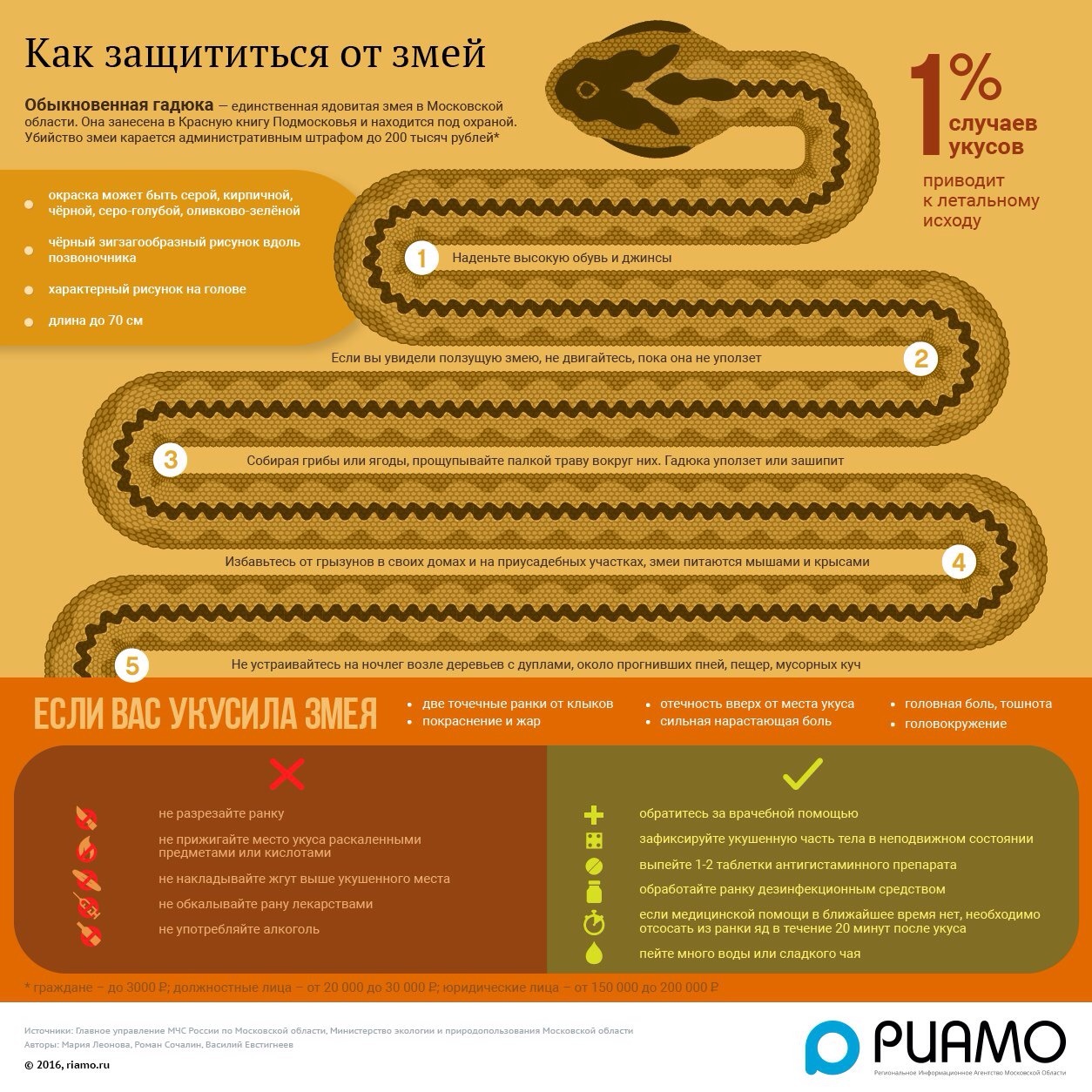 Полезная информация