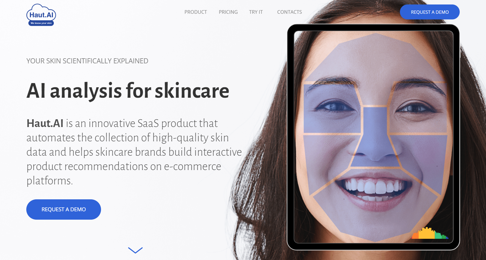 Haut.AI Terms & Conditions
