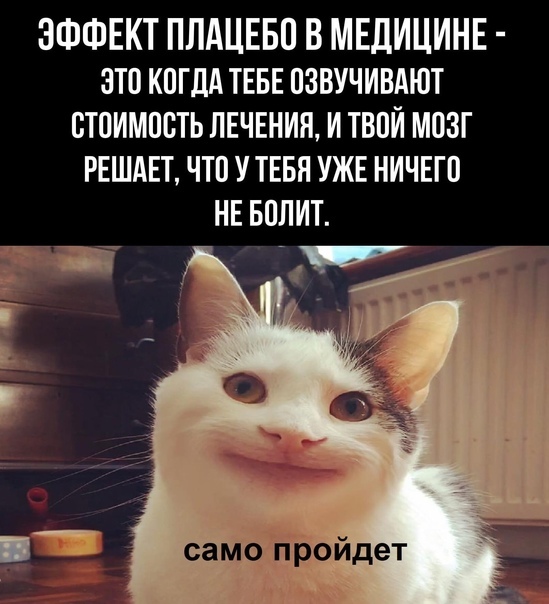 https://static.tildacdn.com/tild3830-3631-4766-a264-346430653261/15408749.jpg