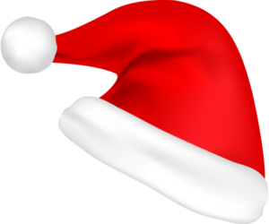 Санаторий Звенигород на новый год и Рождество