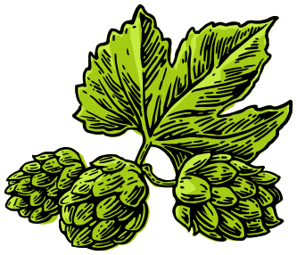 свежий хмель