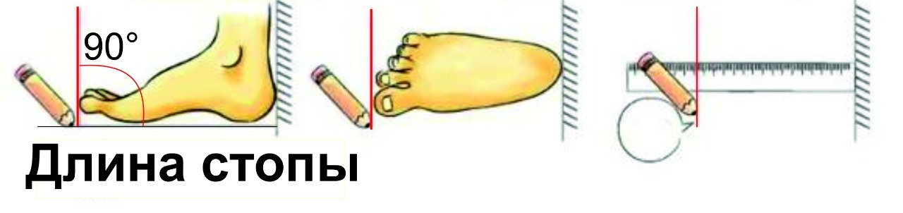 Выбрать размер ортопедической стельки