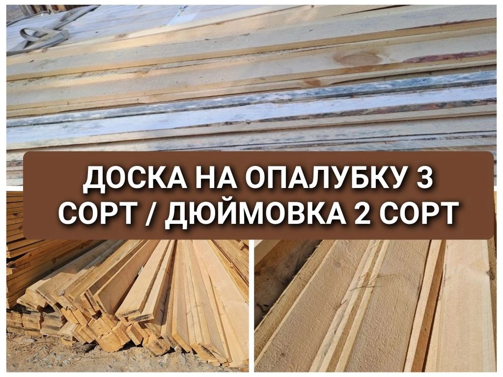 Сосна с посинением — прочность не потеряна
