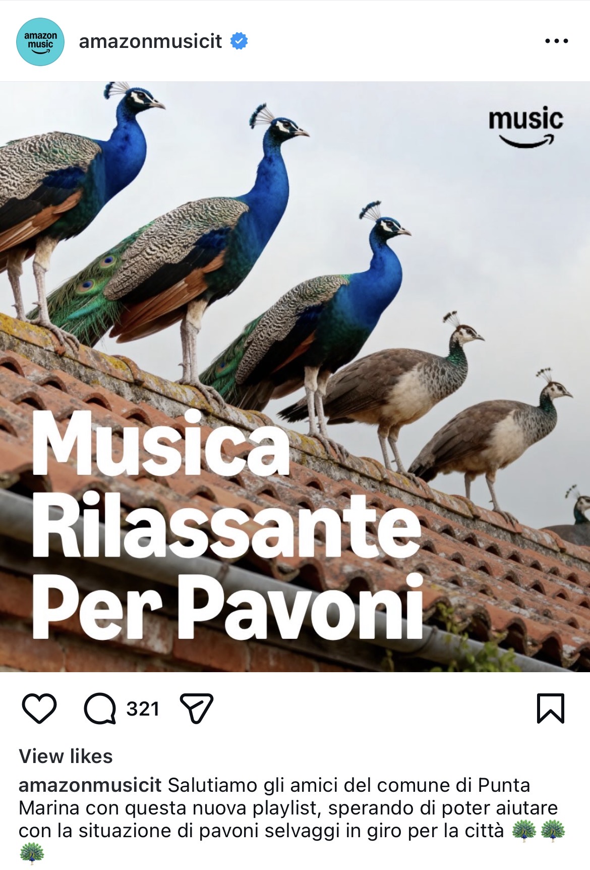 amazon music pavoni