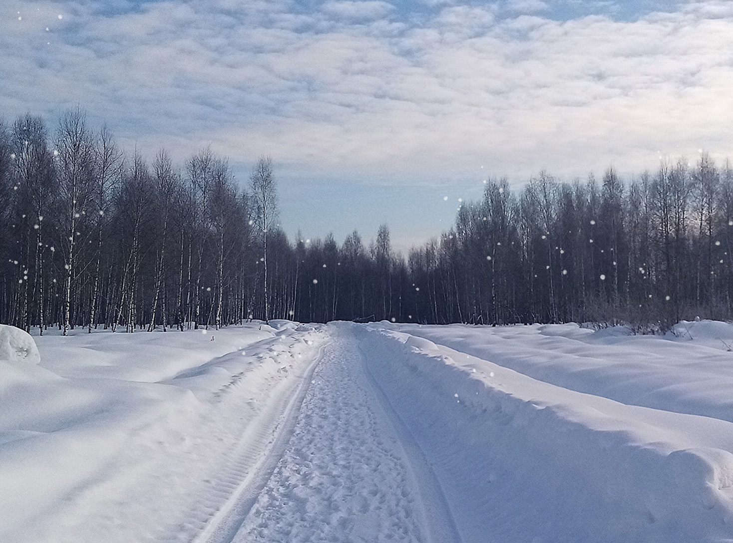 Сайт поселка