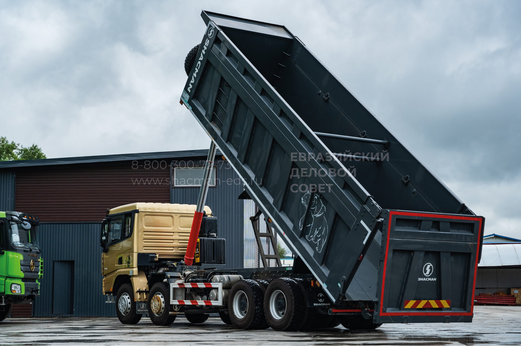 Купить новый самосвал Shacman SX33186V366, 8 на 4, X3000