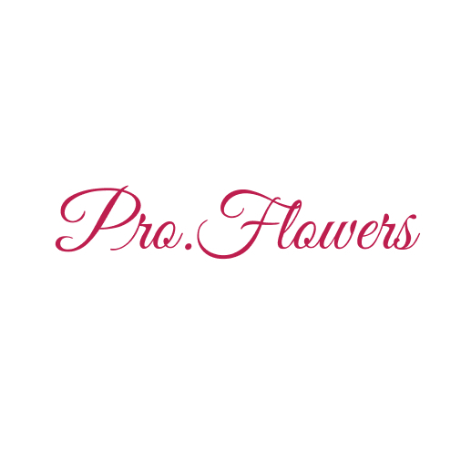 PRO.FLOWERS | СТАБИЛИЗИРОВАННЫЕ ЦВЕТЫ И СУХОЦВЕТЫ