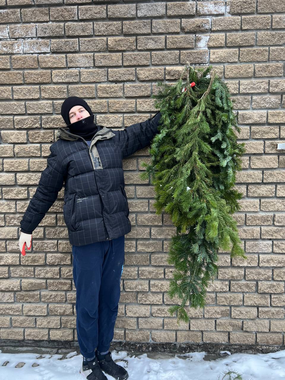 пихтовые ветви на елочном базаре в Барнауле