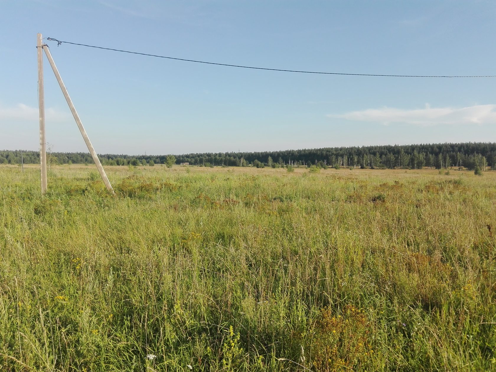 Участки в лужском районе. Петровский луг Павловский Посад. Петровский луг Носовихинское шоссе. Деревня Назарьево Павлово Посадского района. Назарьево (посёлок, Одинцовский район).