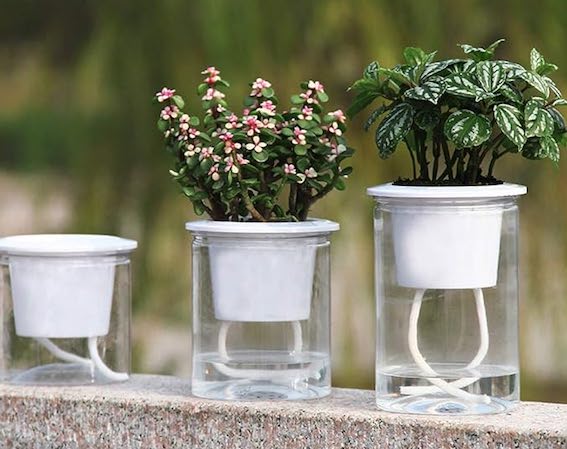 Кашпо с автополивом растений дома