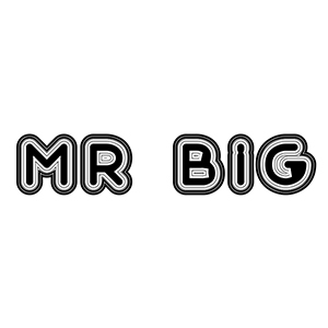 Mr Bigdick