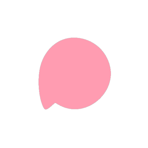website icon