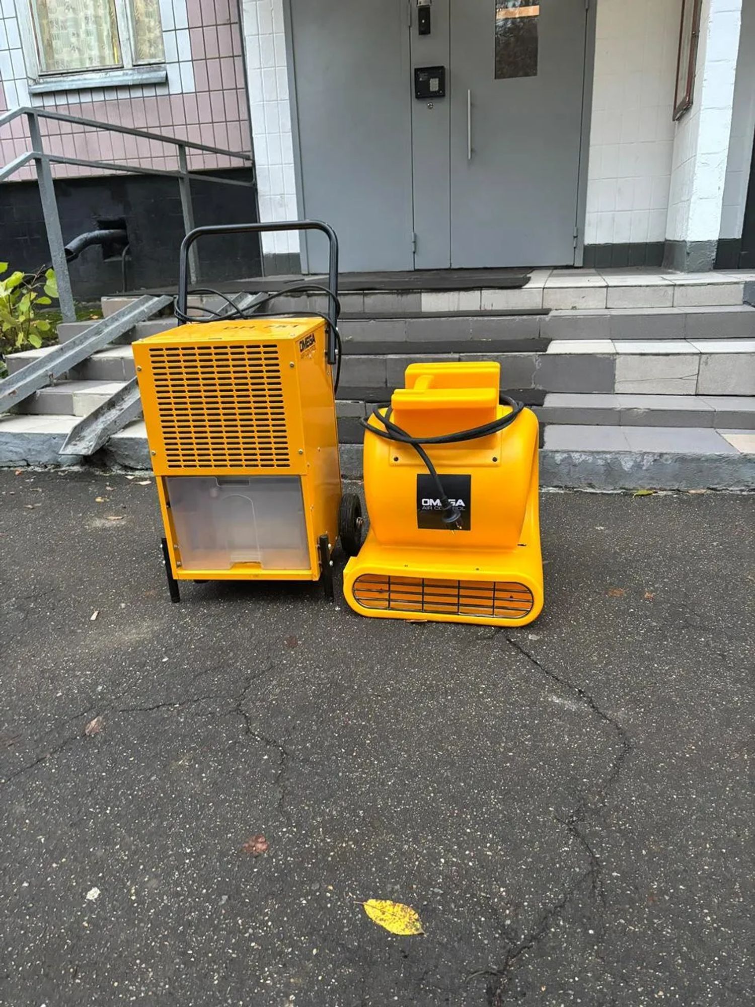 Осушение помещений профессиональным оборудованием