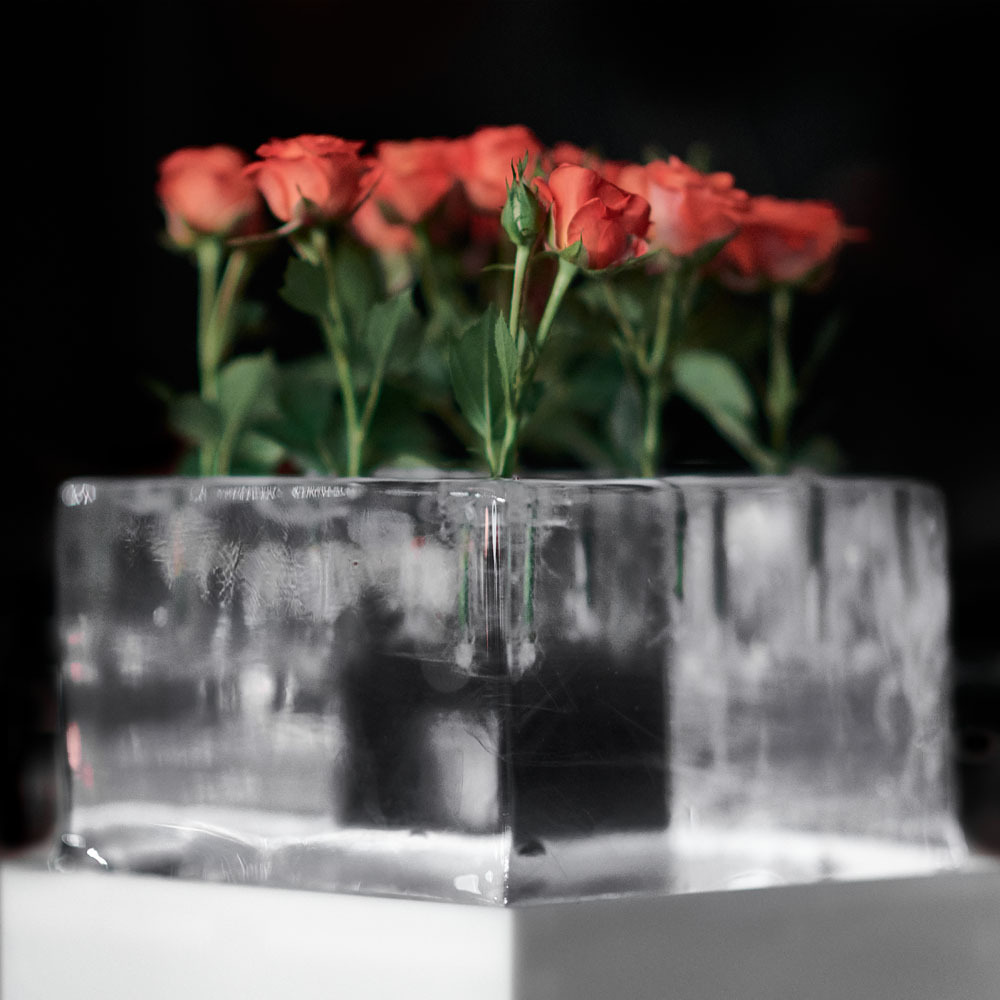 Розы в ледяной подставке