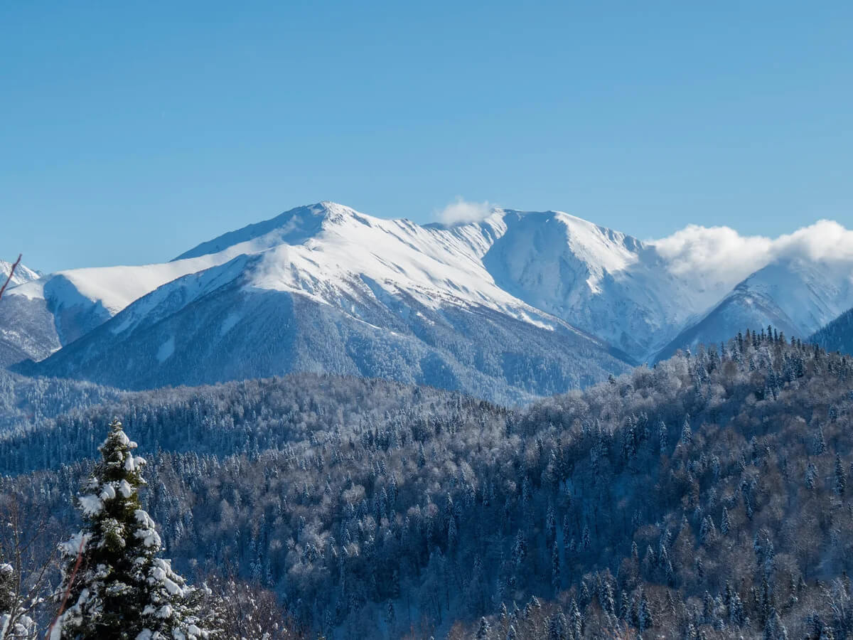 Гора лагонаки