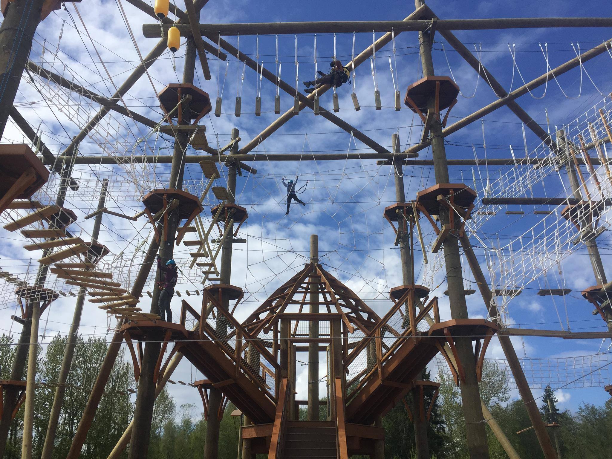 веревочный парк, веревочный курс, строительство веревочных парков, веревочный город, канатный городок, готовый бизнес, экстрим парк ОК-3-14/22, adventure park, rope park, rope course, веревочный парк купить, веревочный парк на деревьях, панда парк, веревочный парк монтаж, веревочный парк цена, канатный городок на опорах купить,