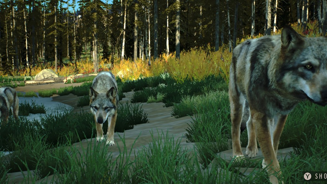 Way of the Hunter Wild America: симулятор охоты с открытым миром, волки в лесу