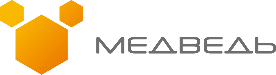 ИИС Медведь