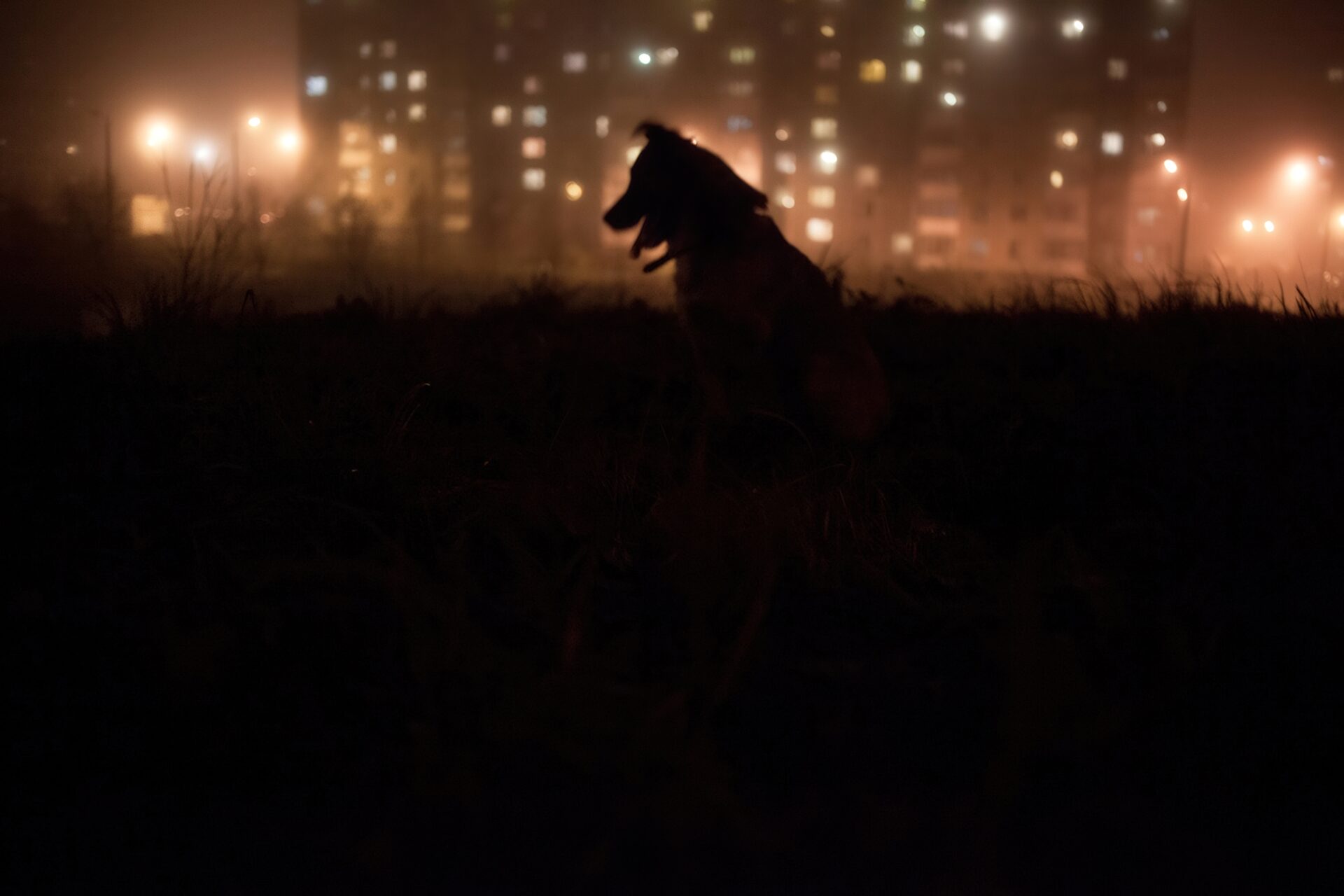 Максим Сарычев, «Двуногий друг»