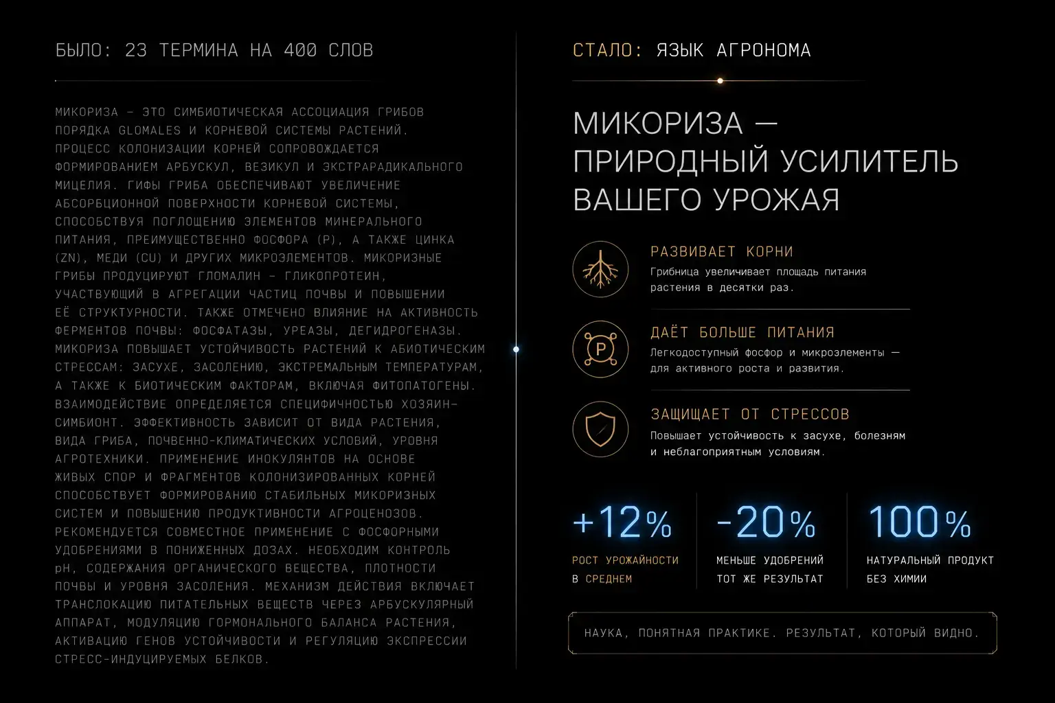Сравнение текстов MYCORRHIZA было сплошная стена научных терминов 23 слова на 400 знаков стало короткие абзацы цифры и язык агронома