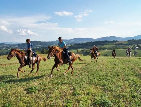 Заказать тимбилдинг для ветеринарной клиники