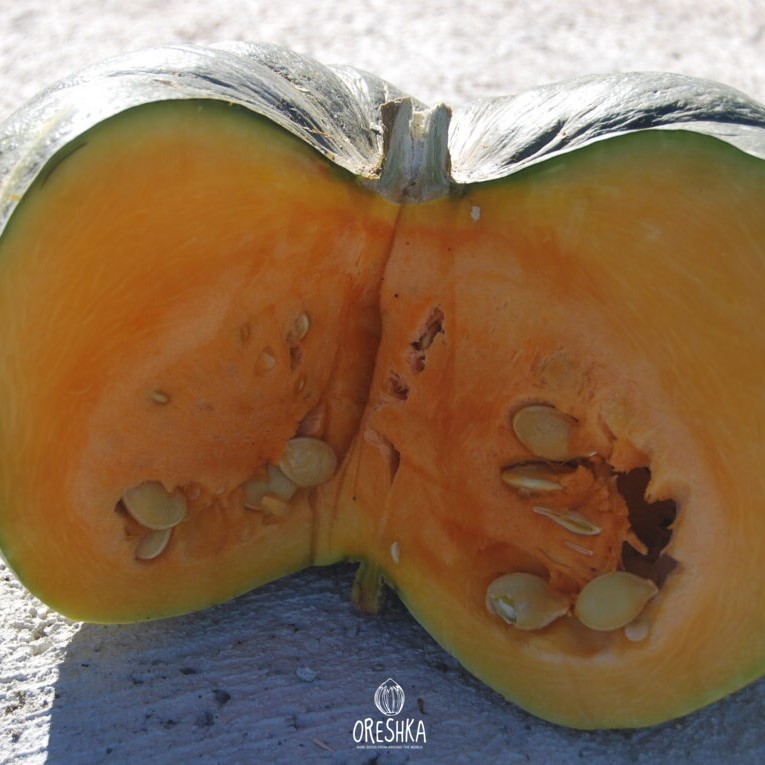 Seeds of Pumpkin large-fruited Burger (Cucurbita) — 5 pcs