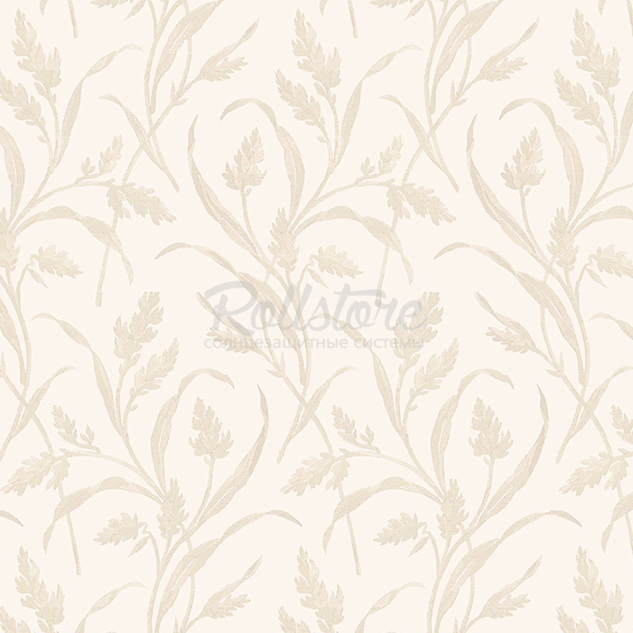 Анже апельсин