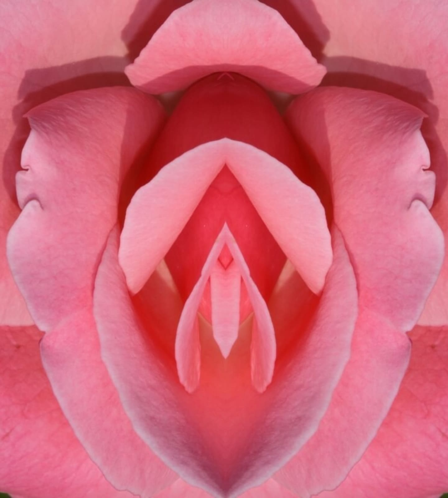 Накшатра Пушья