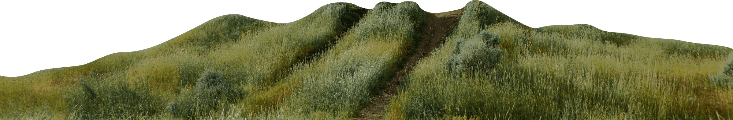 background from creative design agency gigitalica