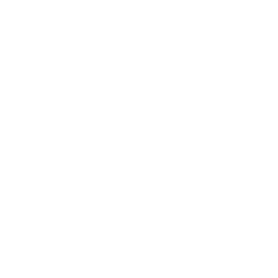 Портретная экспертиза