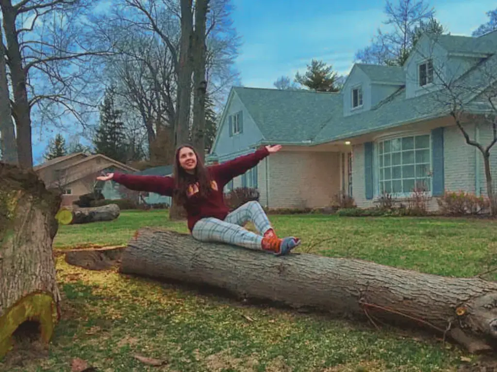 Американская семья