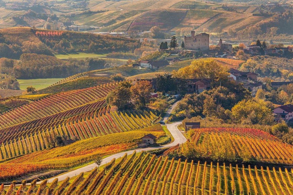 Wine tour from Barcelona for 1 day | Casamiga Events