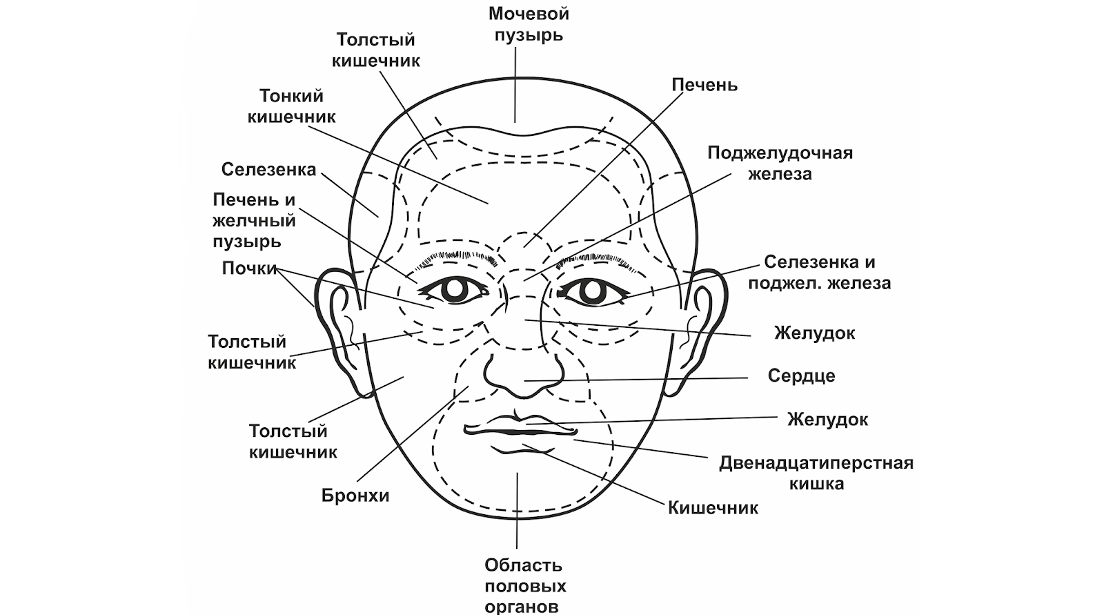 кожа о состоянии здоровья