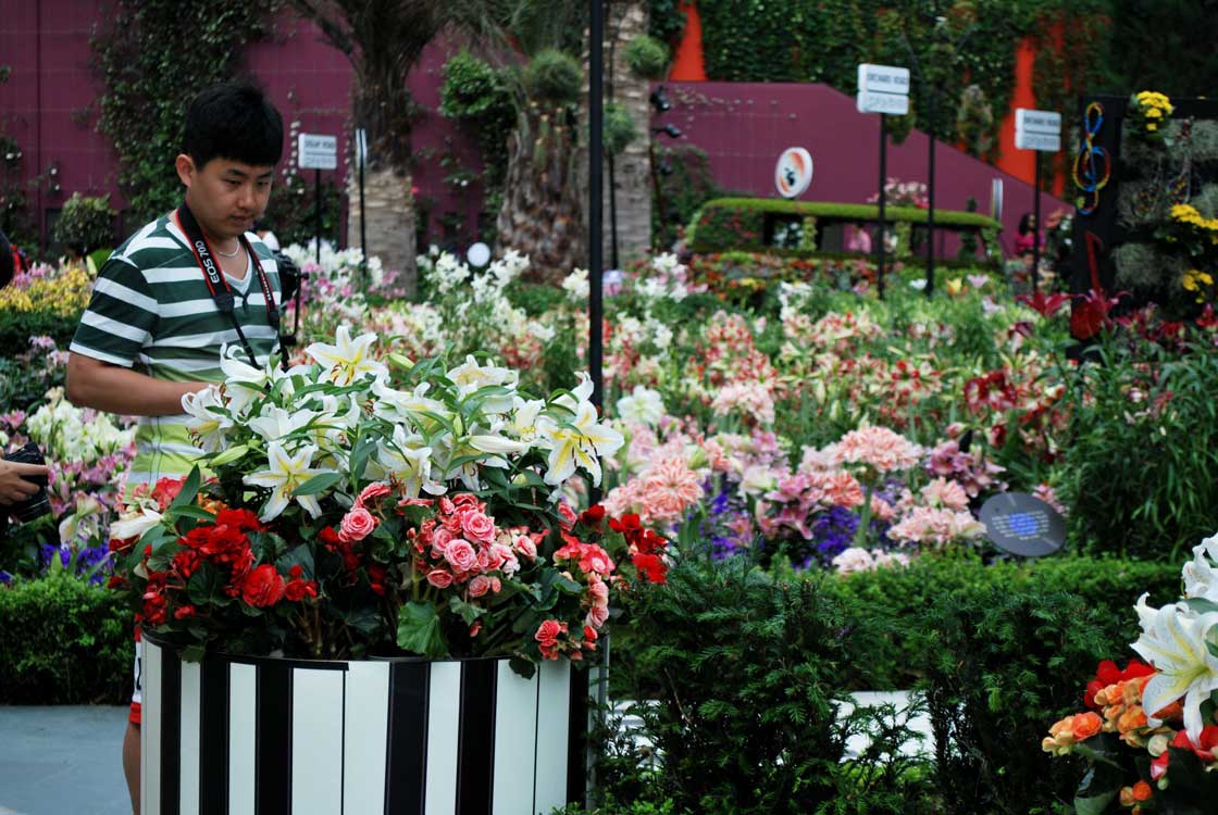 сады у залива Марина Бей в Сингапуре оранжерея Купол Цветов