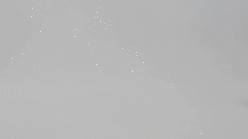 одежда для левреток