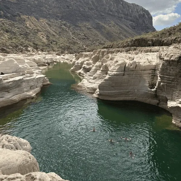 Гепарды - Тур в ЮАР