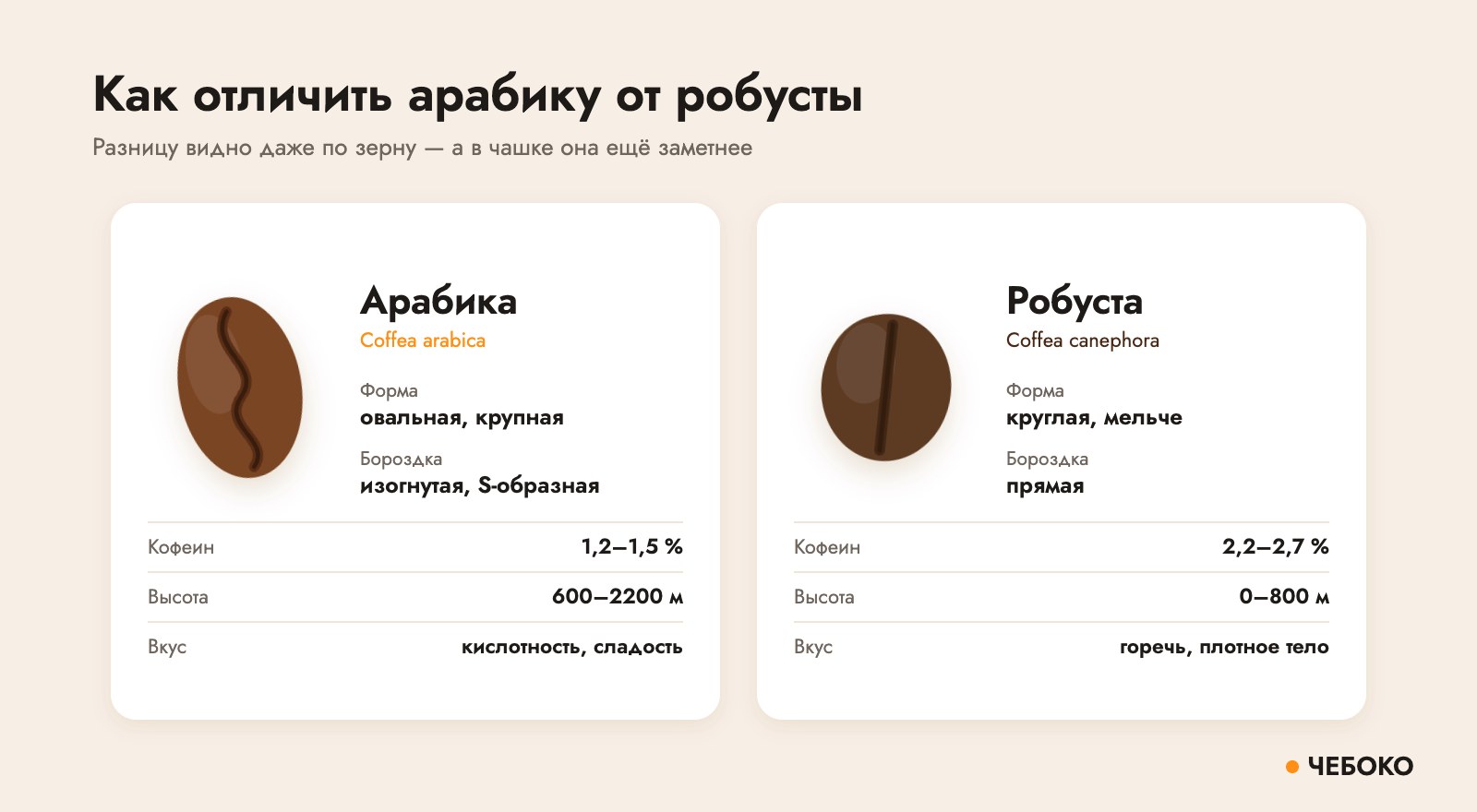 Как отличить арабику от робусты: форма зерна, бороздка, кофеин и высота произрастания