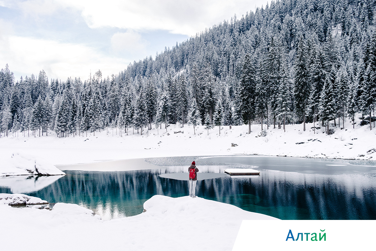 киты в охотском море