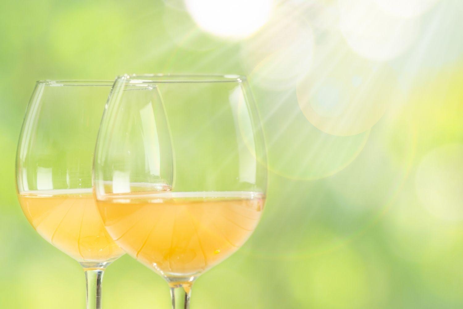 Orange Wine Tasting in Barcelona | Casamiga Events