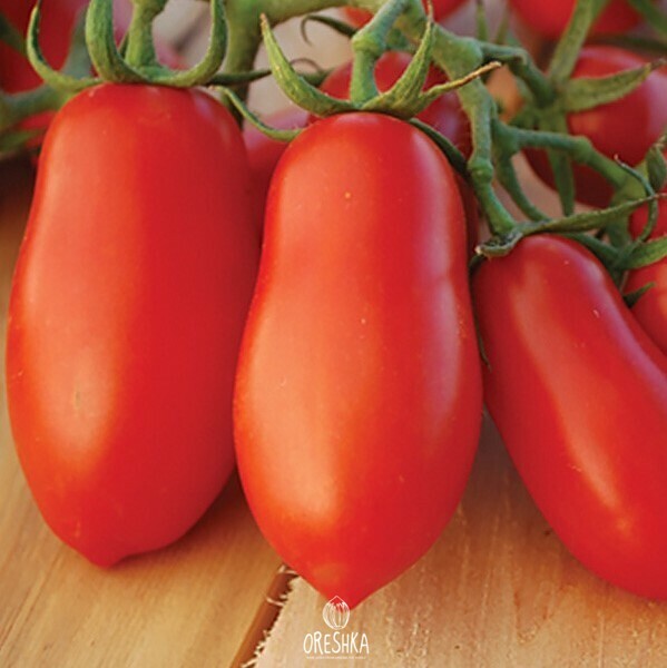 Seeds of Lapwing tomato (solanum lycopersicum) — 10 pcs