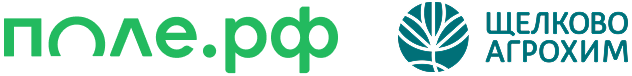 поле.рф